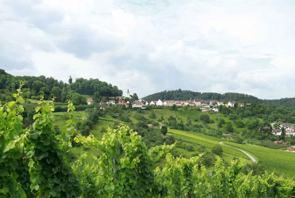 Weingut Löwensetin